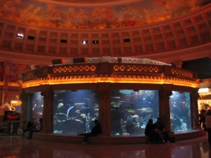 Aquarium Caesars Palace