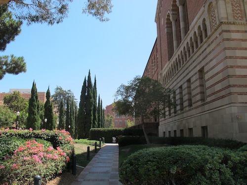 campus UCLA